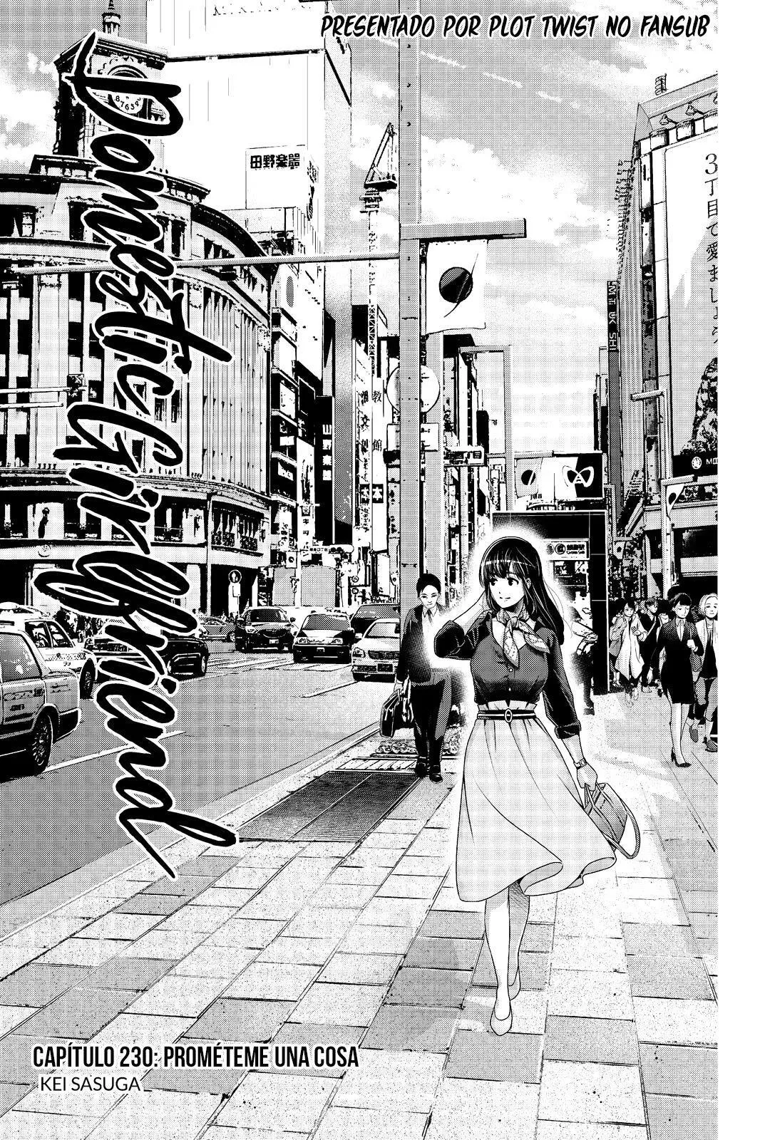 Domestic na Kanojo Capítulo 230 - Page 3