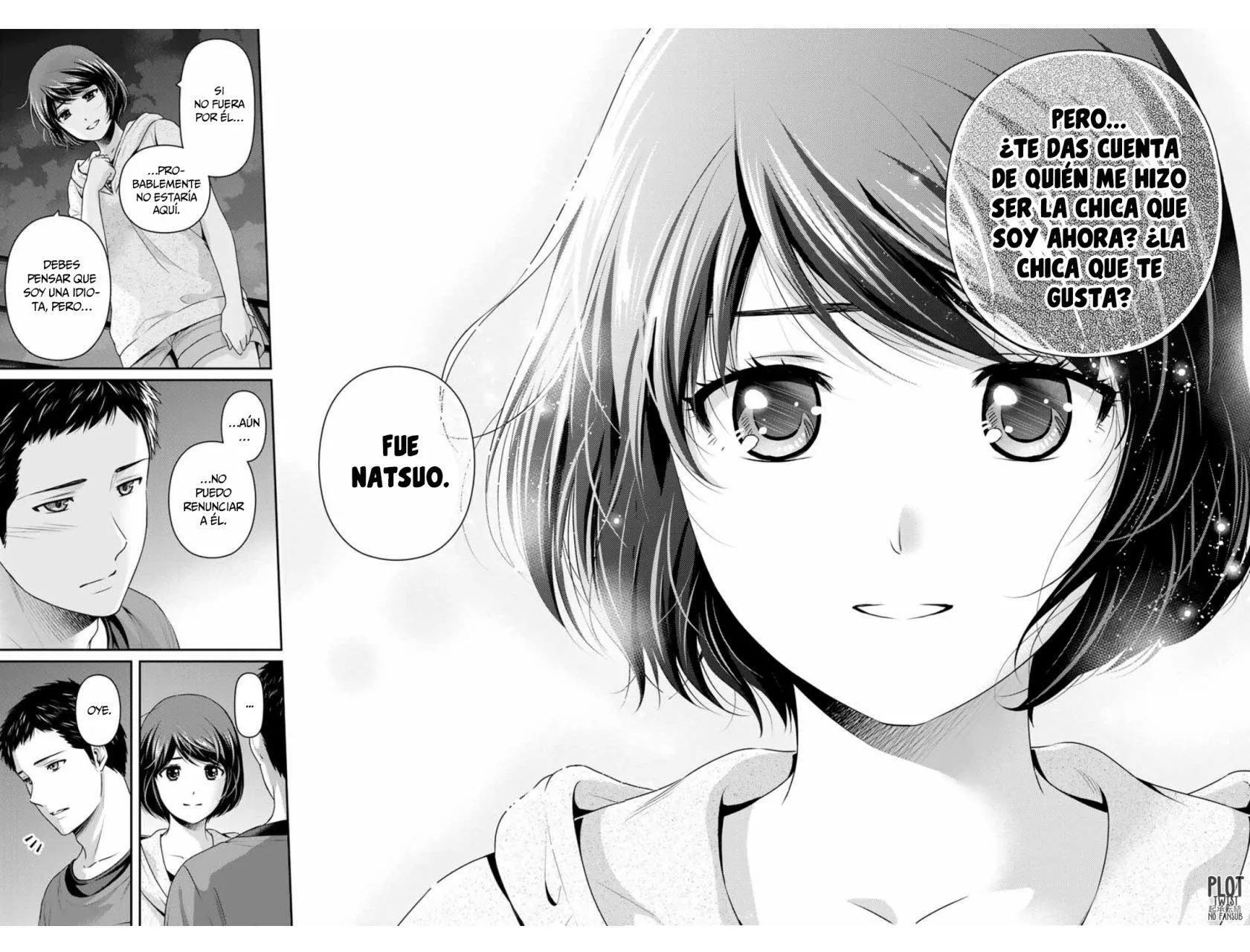 Domestic na Kanojo Capítulo 240 - Page 15