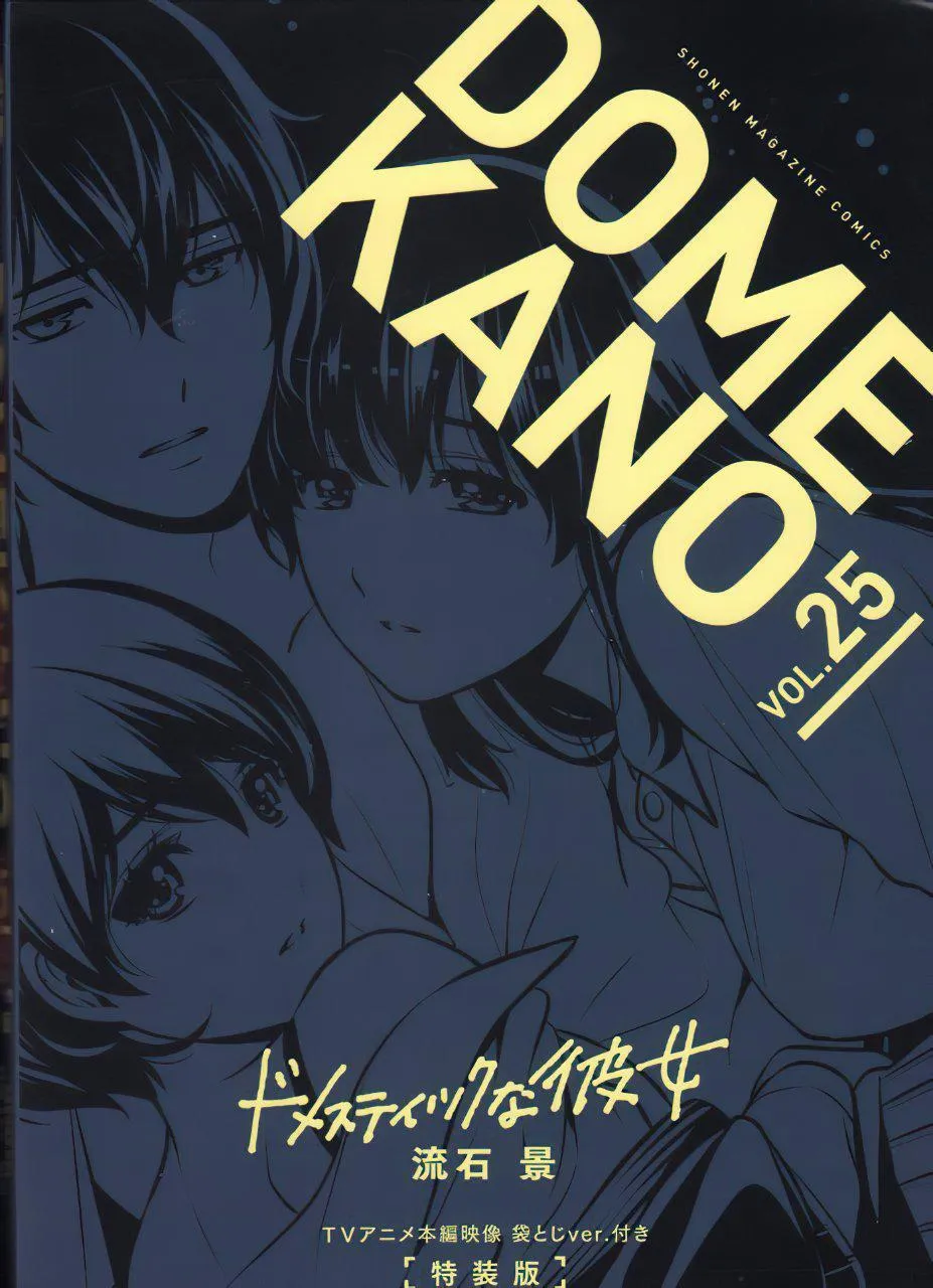 Domestic na Kanojo Capítulo 245.5 - Page 3