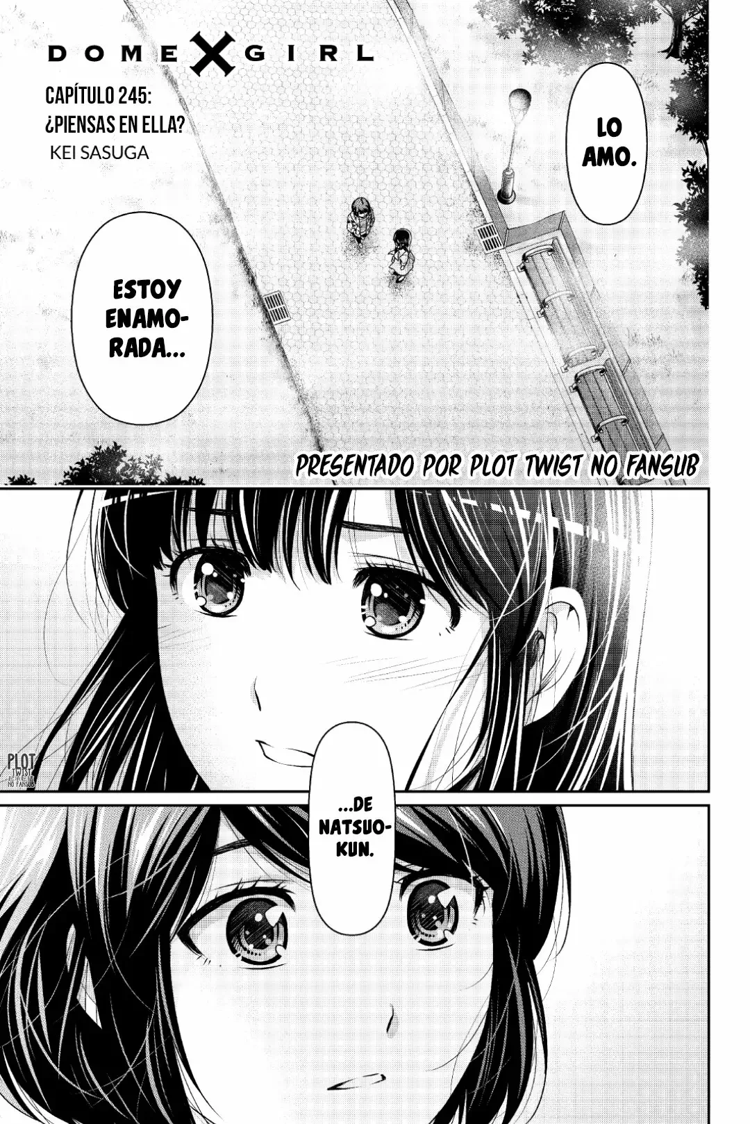 Domestic na Kanojo Capítulo 245 - Page 3