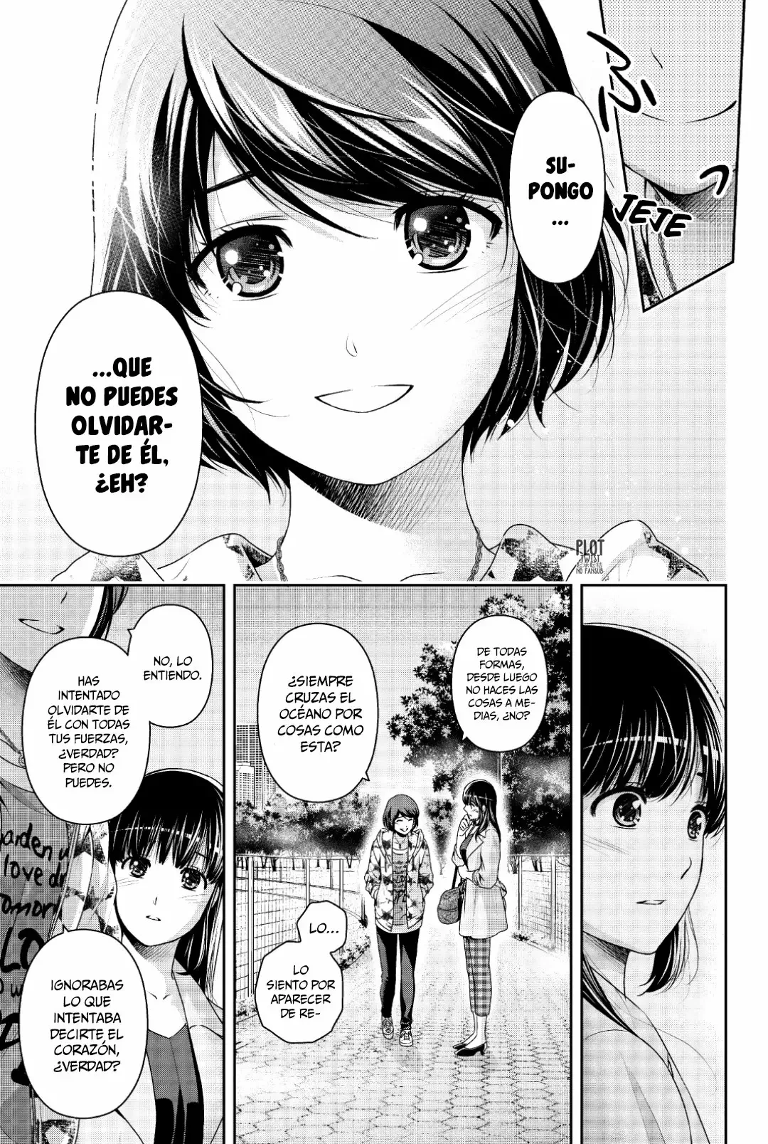Domestic na Kanojo Capítulo 245 - Page 5