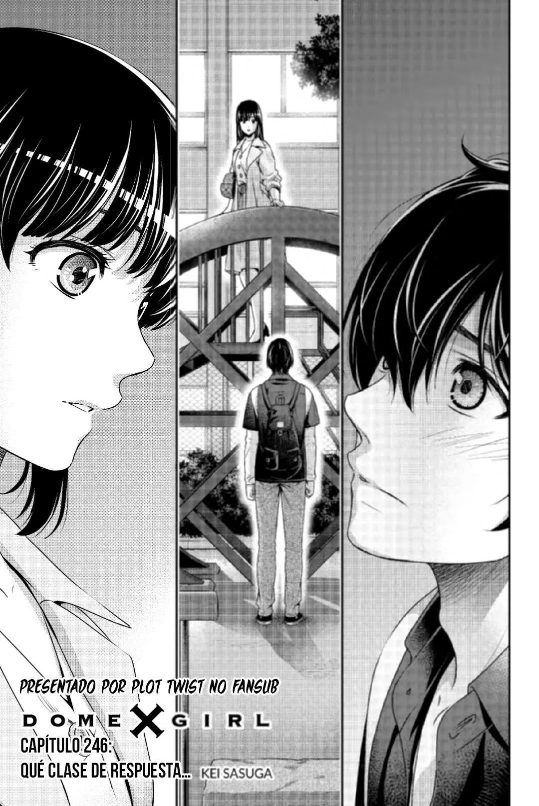 Domestic na Kanojo Capítulo 246 - Page 2