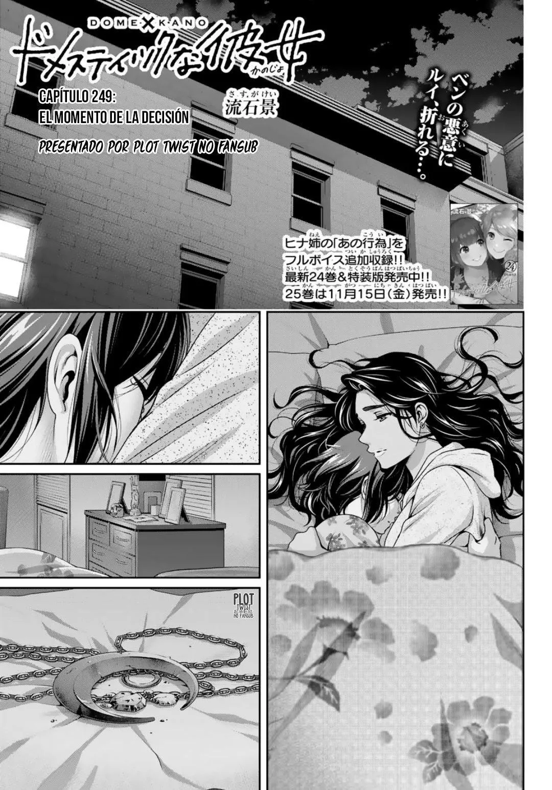 Domestic na Kanojo Capítulo 249 - Page 3