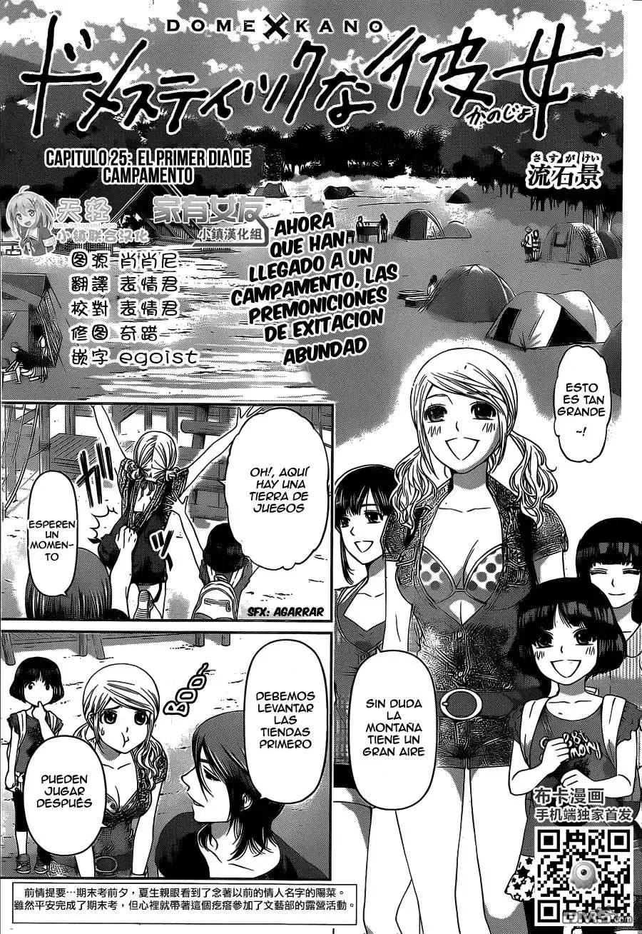 Domestic na Kanojo Capítulo 25 - Page 3