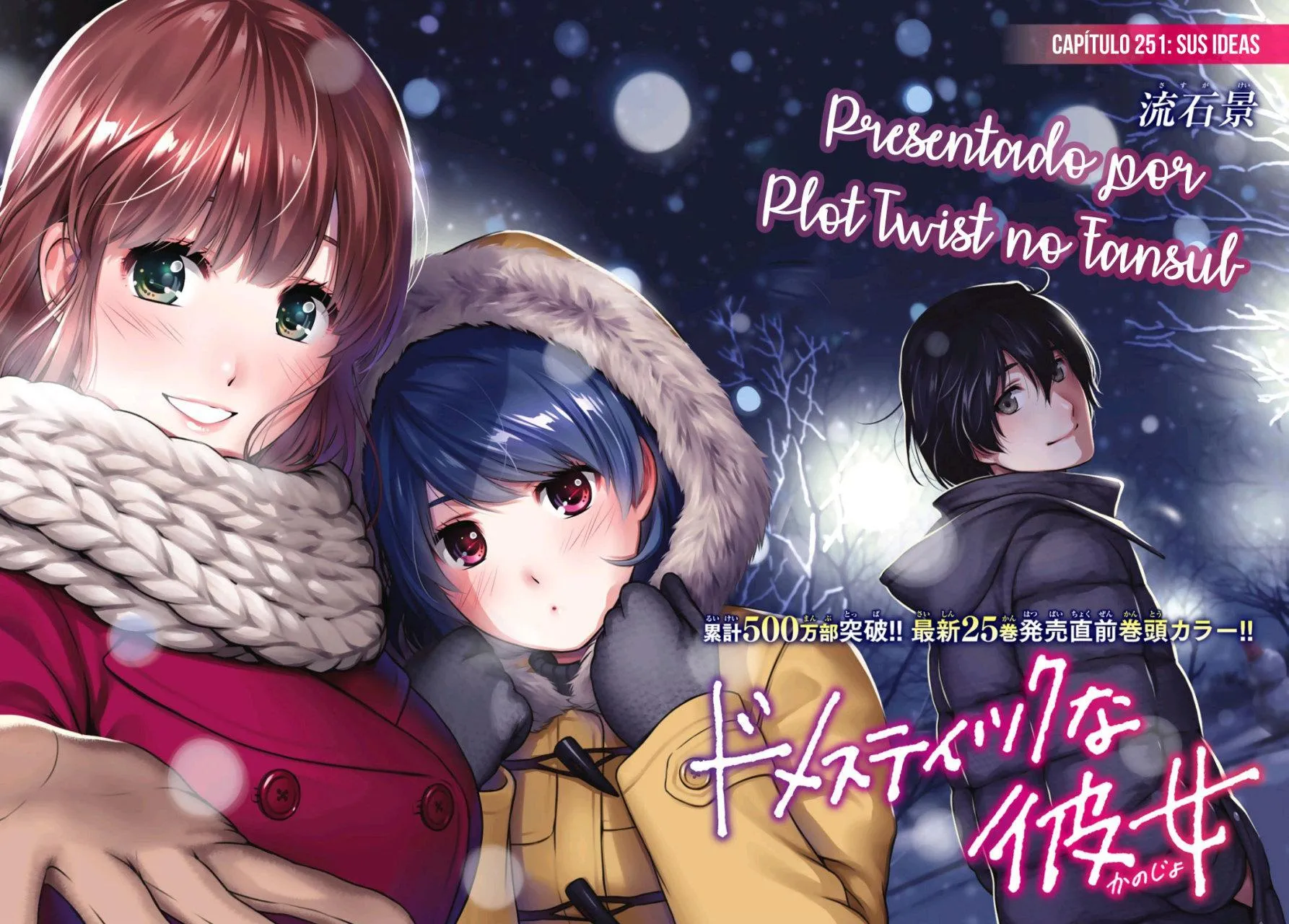 Domestic na Kanojo Capítulo 251 - Page 4