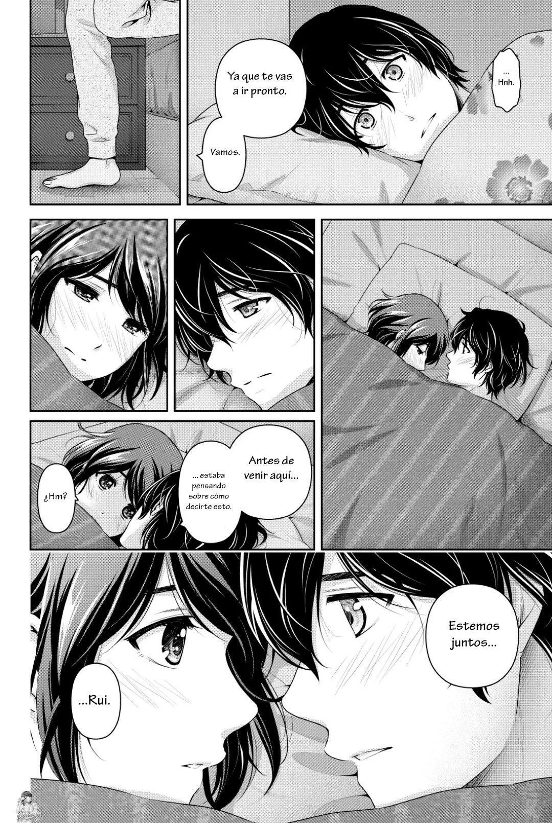 Domestic na Kanojo Capítulo 252 - Page 17