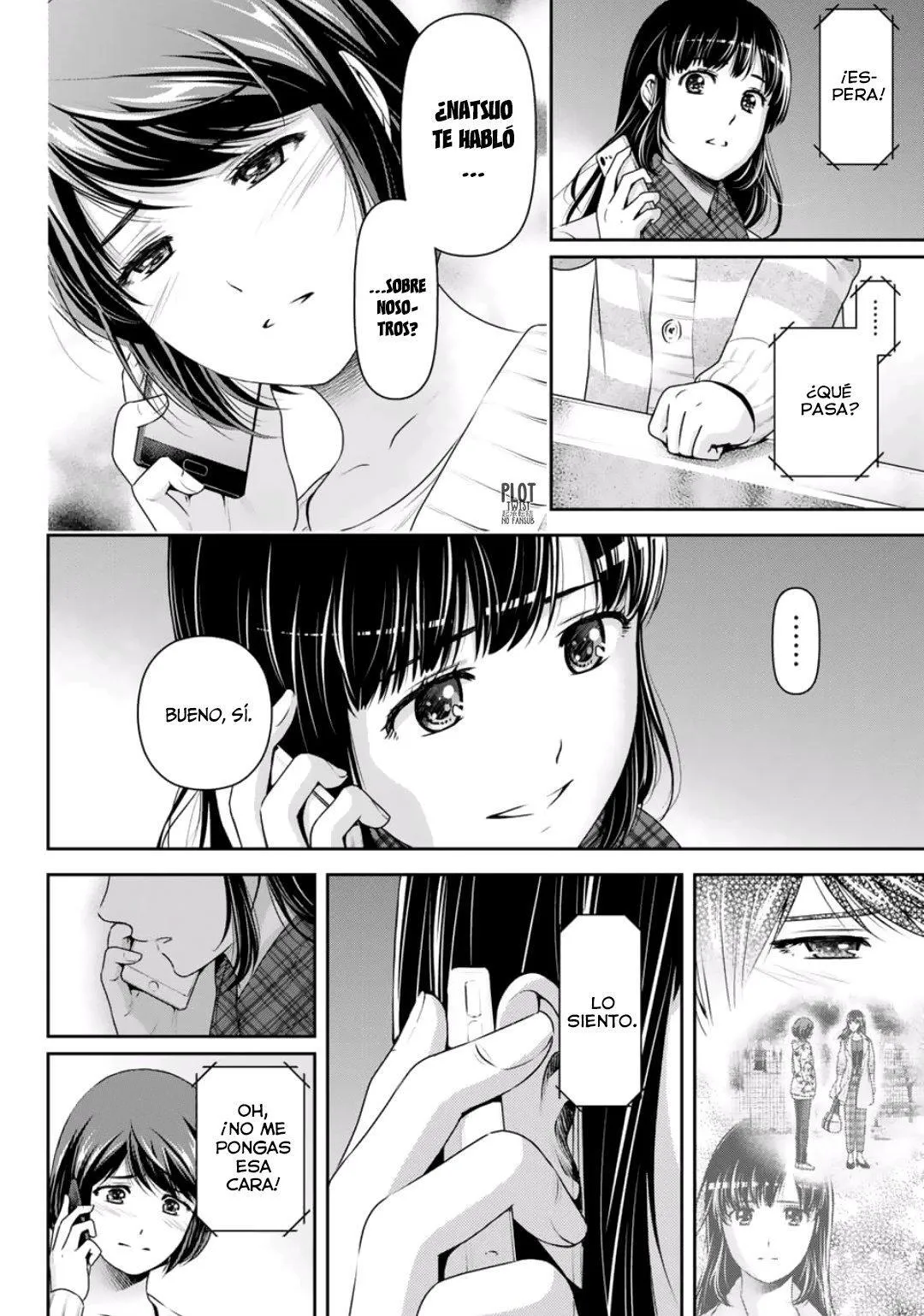 Domestic na Kanojo Capítulo 258 - Page 12