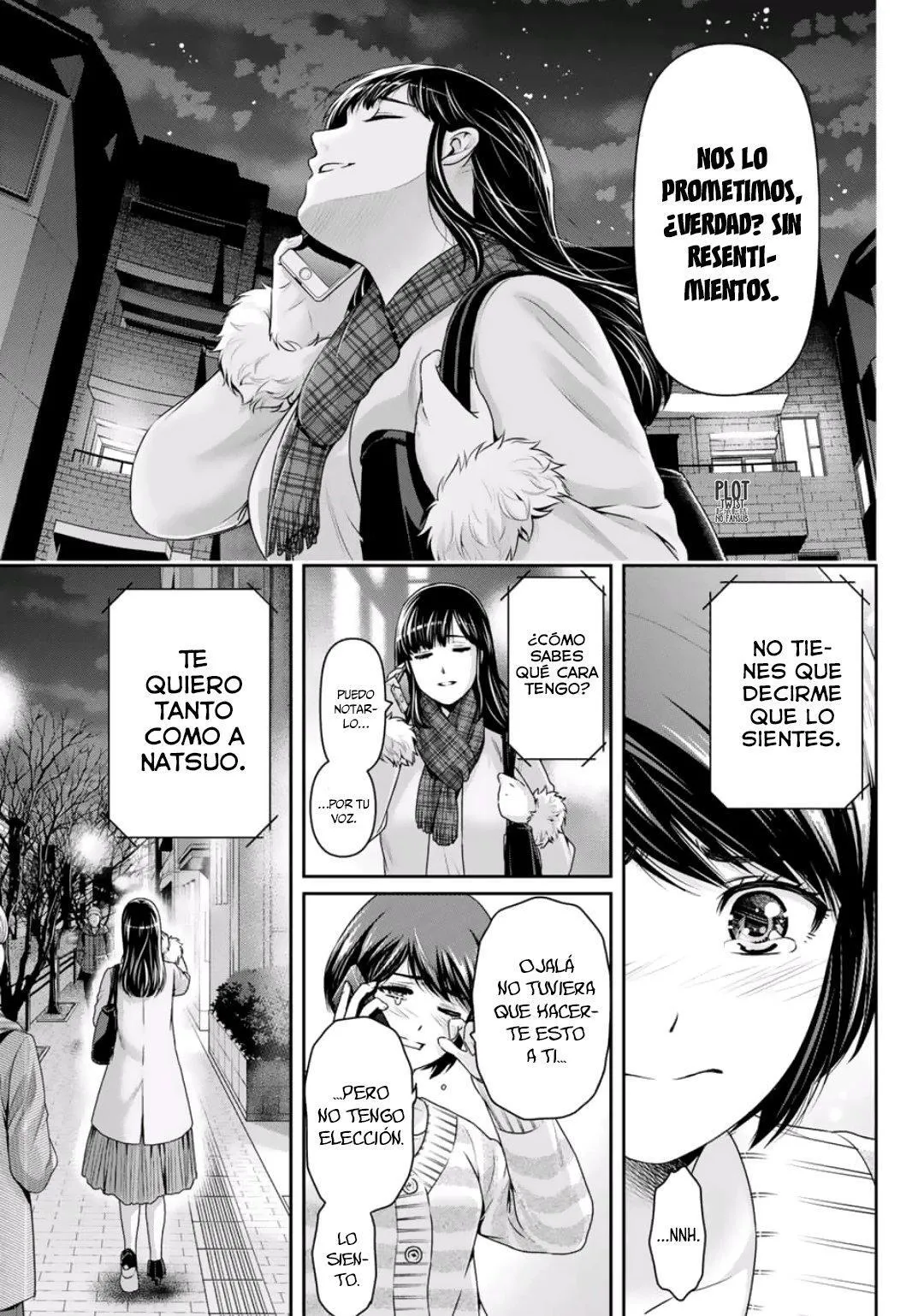 Domestic na Kanojo Capítulo 258 - Page 13