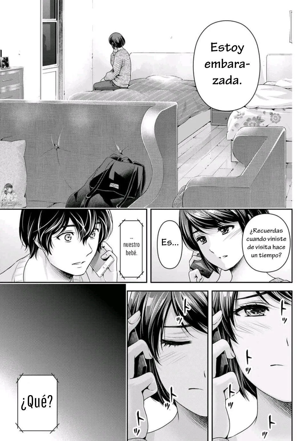 Domestic na Kanojo Capítulo 259 - Page 18