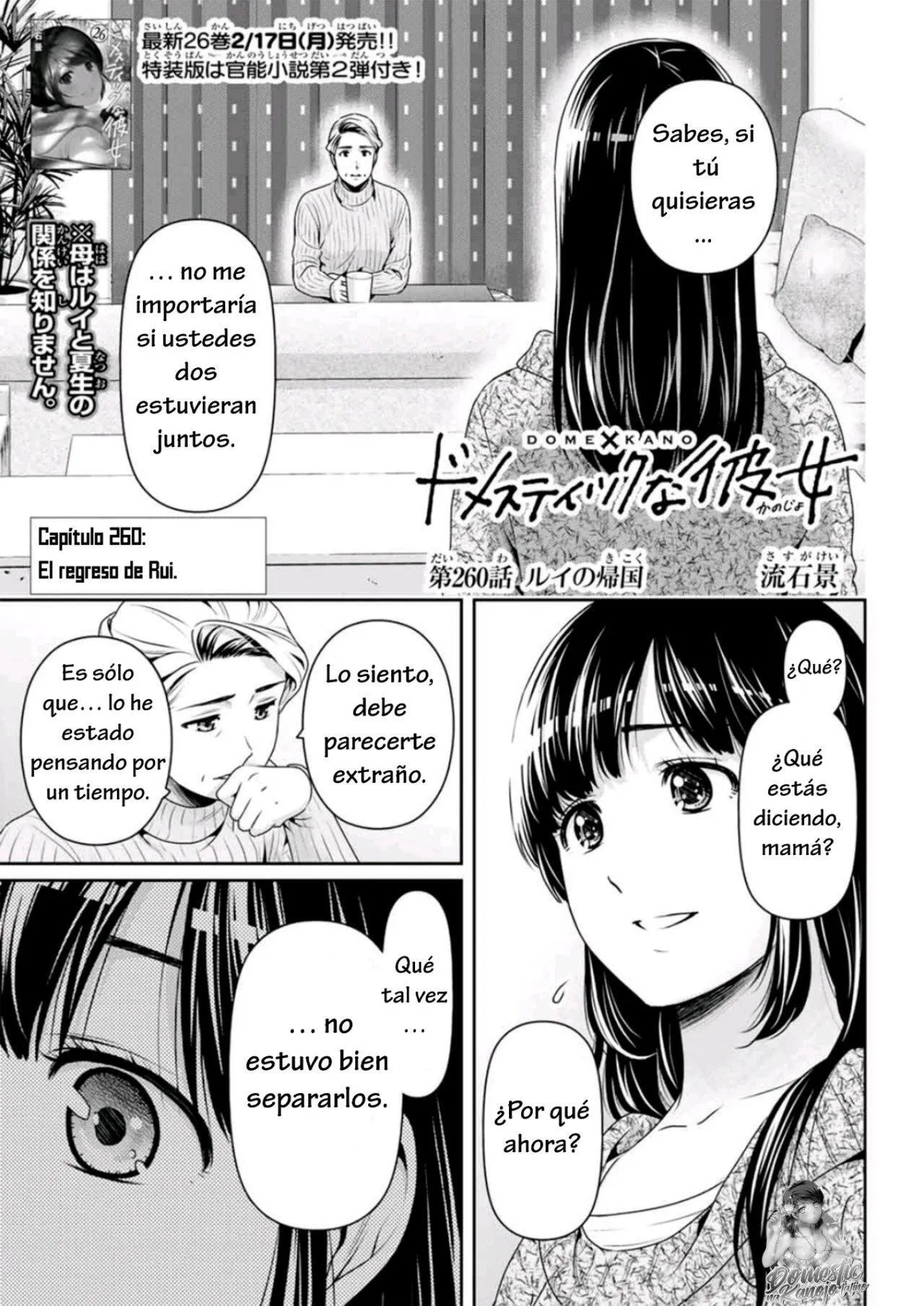 Domestic na Kanojo Capítulo 260 - Page 4