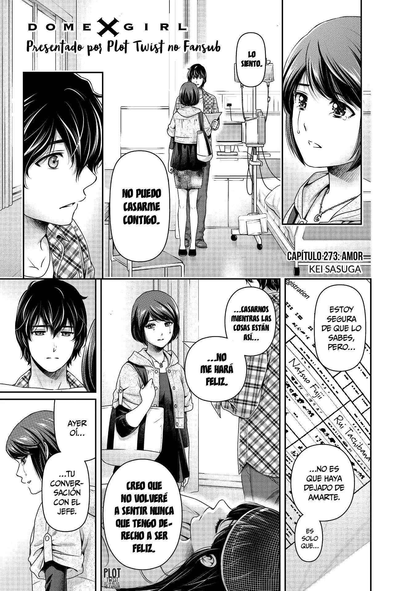 Domestic na Kanojo Capítulo 273 - Page 3