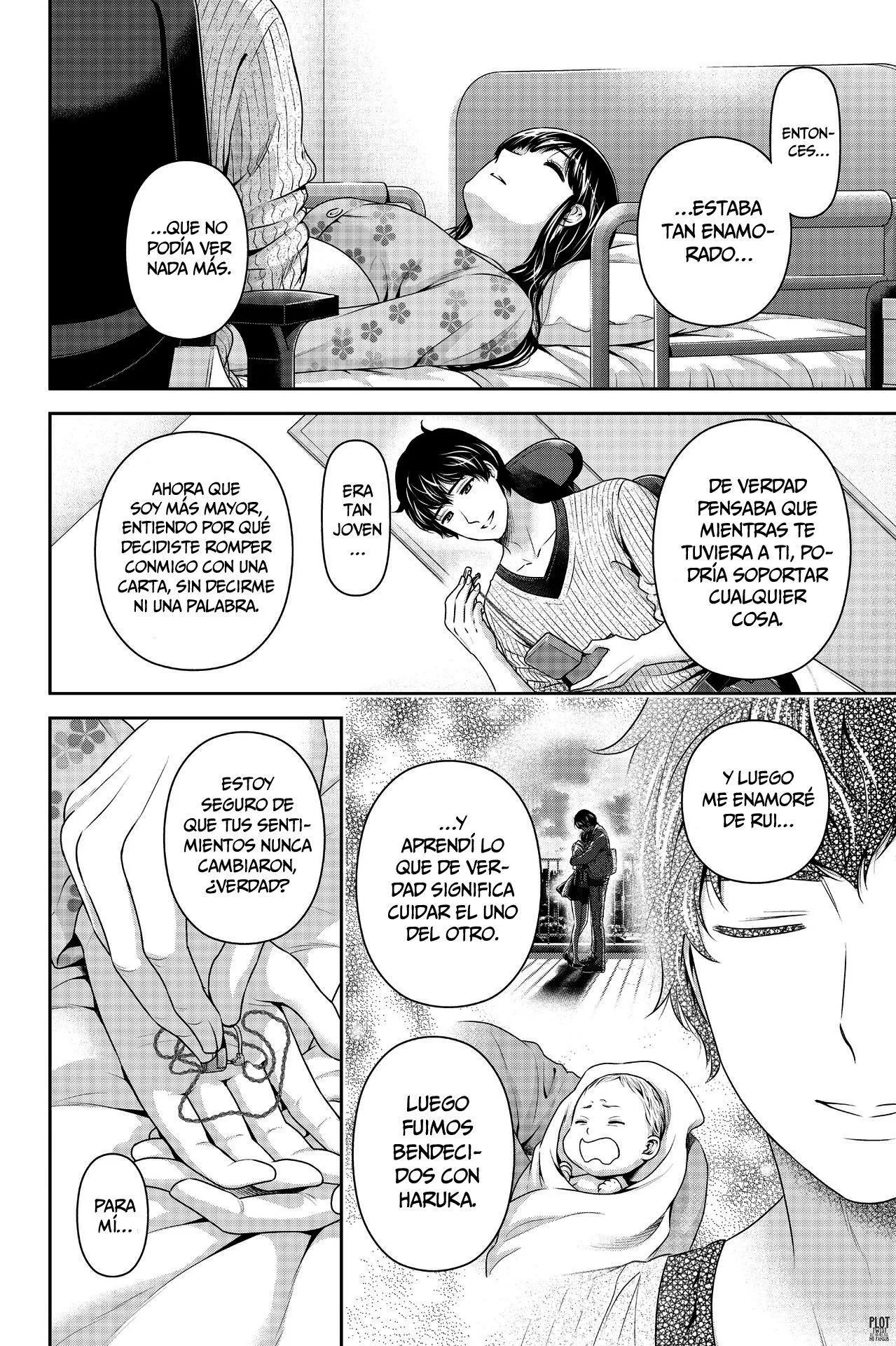 Domestic na Kanojo Capítulo 275 - Page 13
