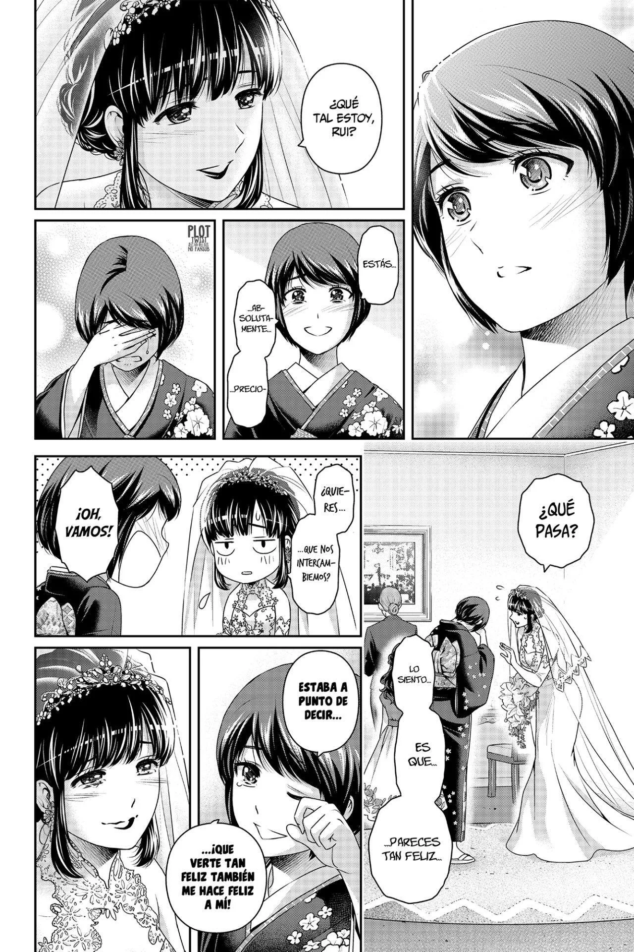 Domestic na Kanojo Capítulo 276.5 - Page 13