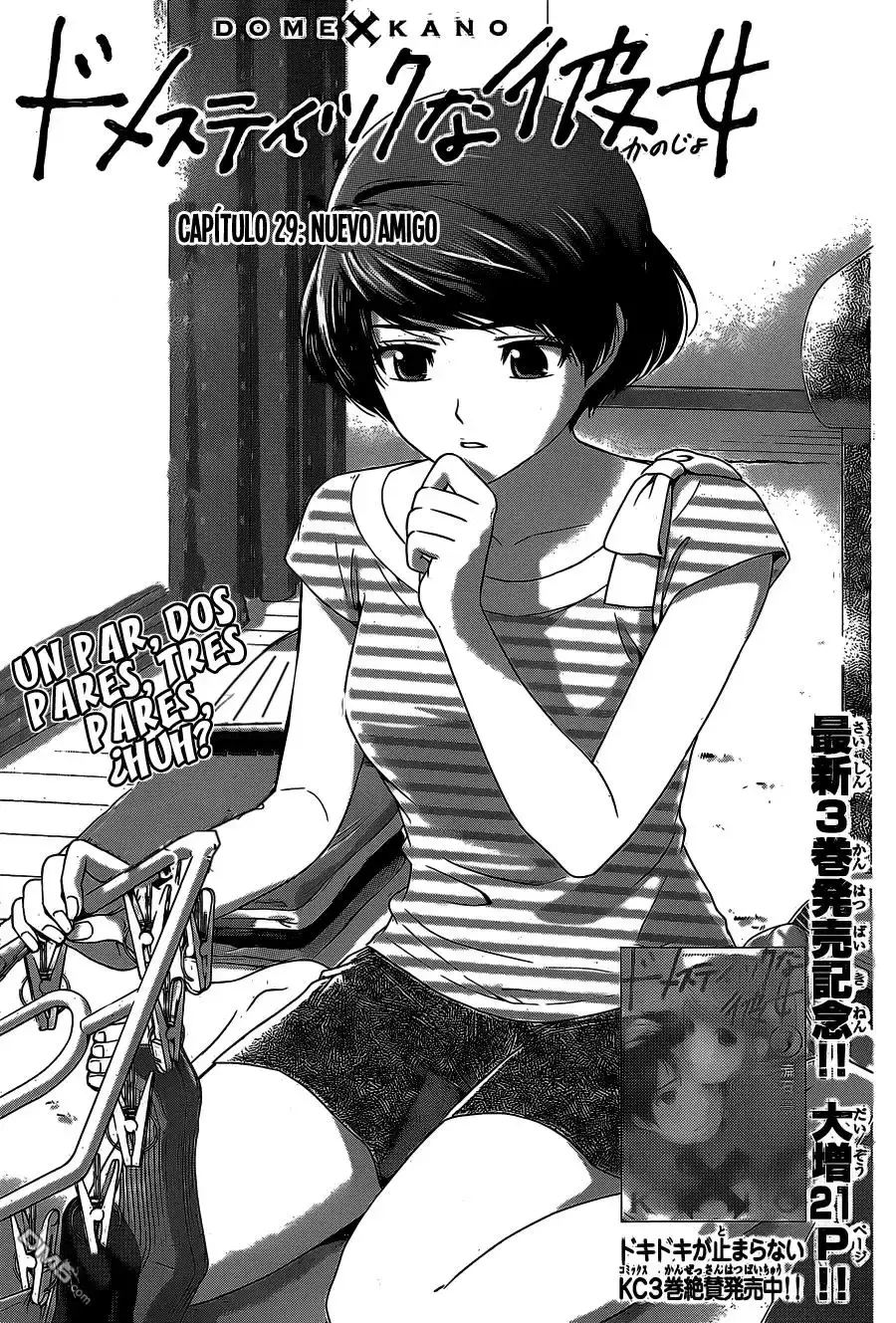 Domestic na Kanojo Capítulo 29 - Page 2