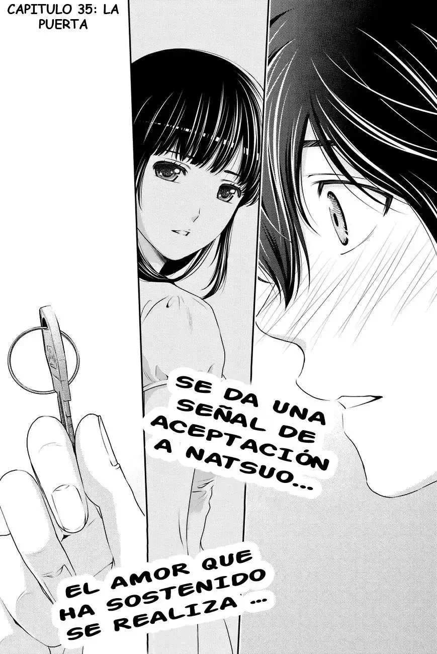 Domestic na Kanojo Capítulo 35 - Page 1