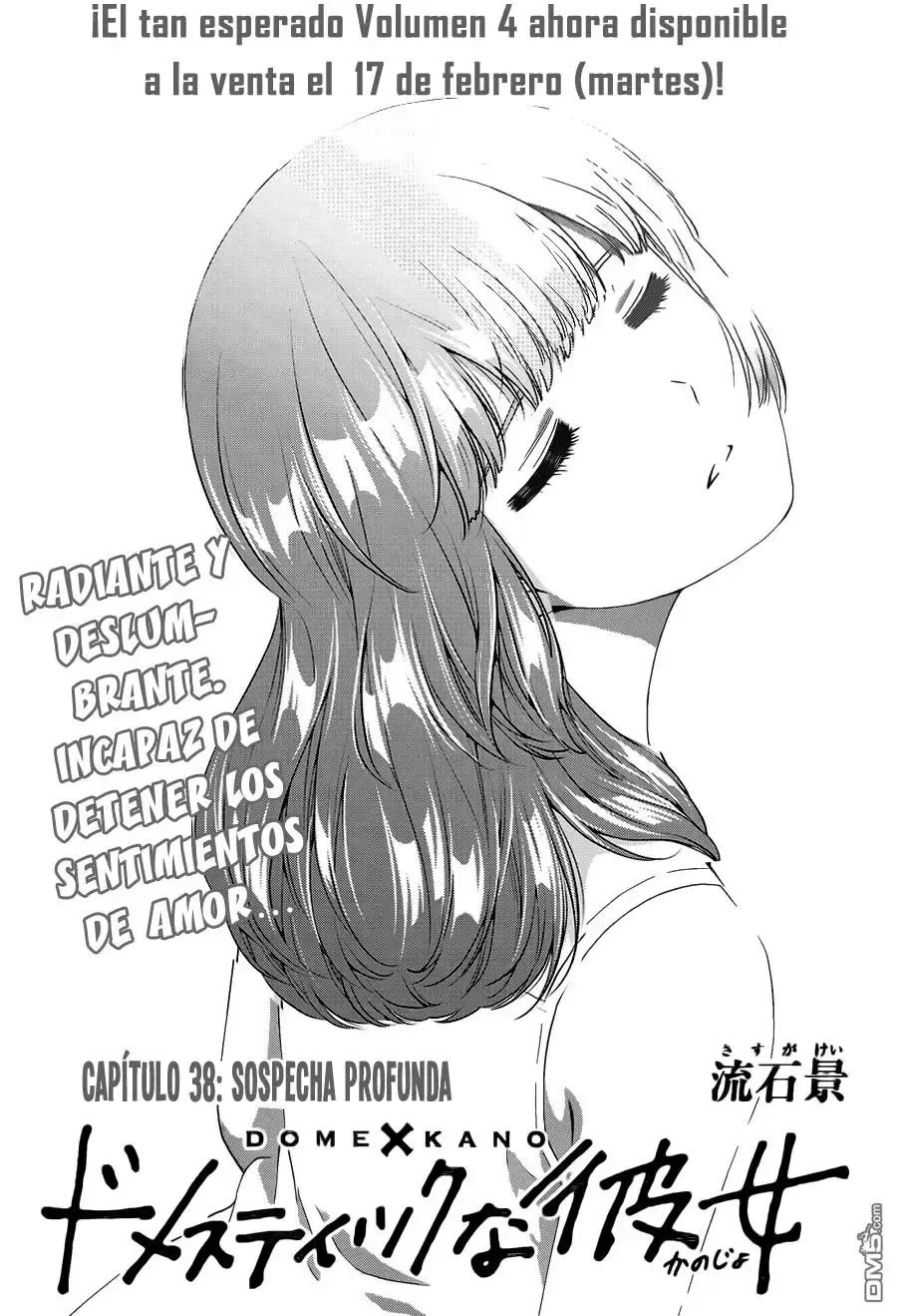 Domestic na Kanojo Capítulo 38 - Page 2