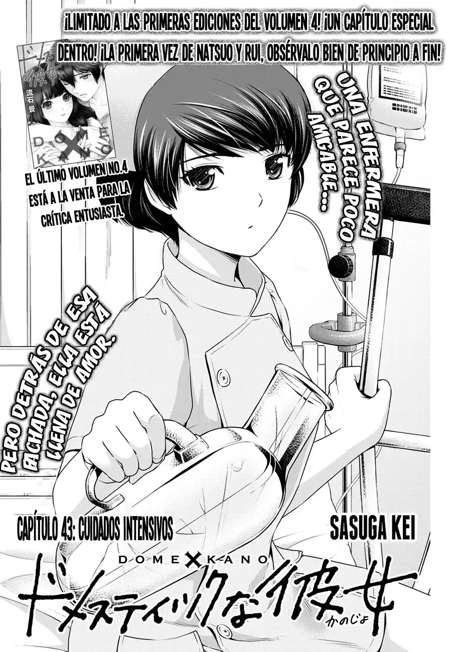 Domestic na Kanojo Capítulo 43 - Page 2