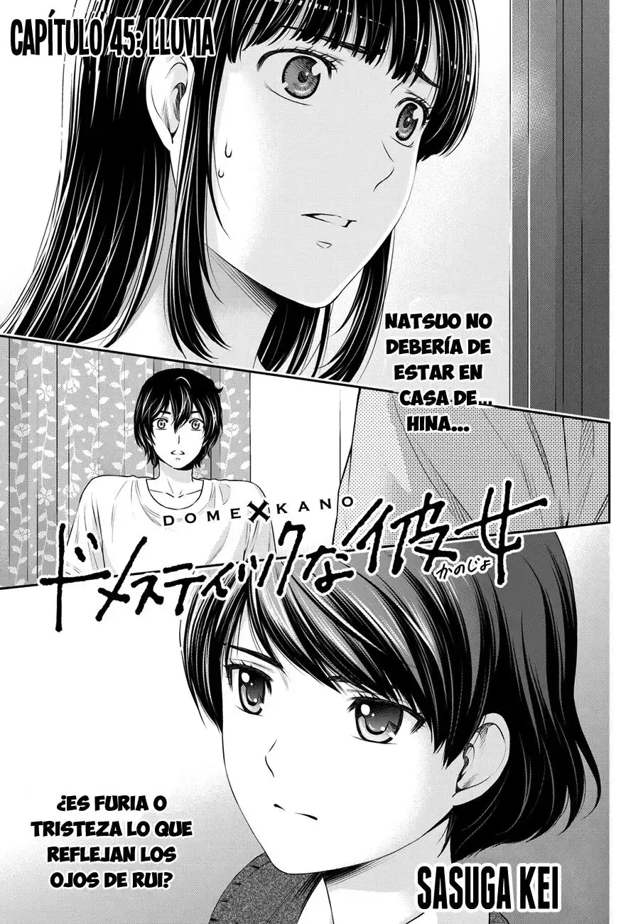 Domestic na Kanojo Capítulo 45 - Page 2