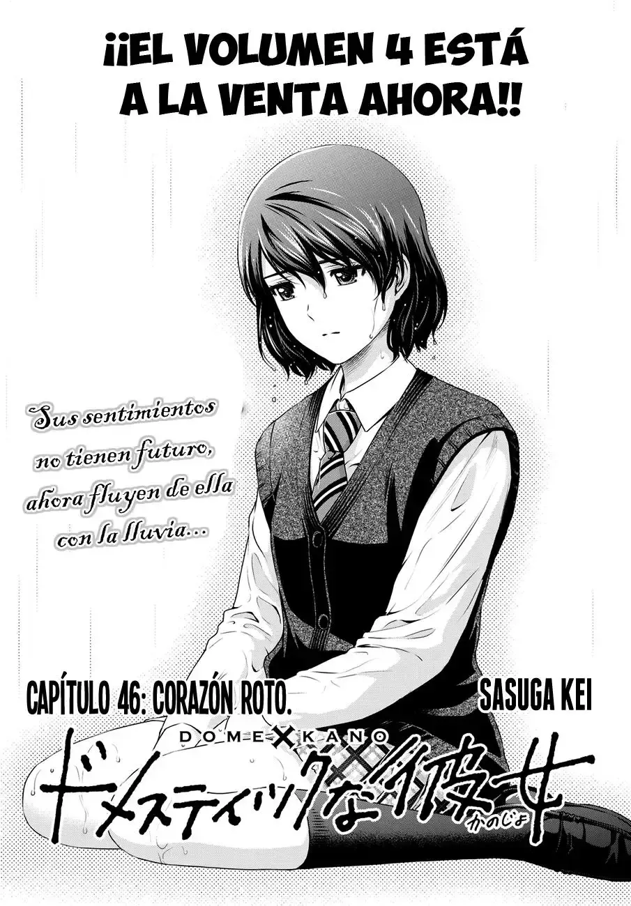 Domestic na Kanojo Capítulo 46 - Page 2