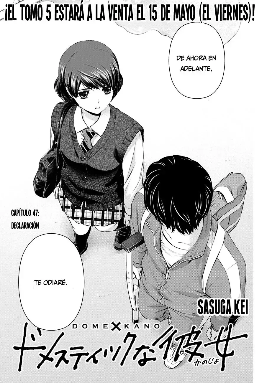Domestic na Kanojo Capítulo 47 - Page 2