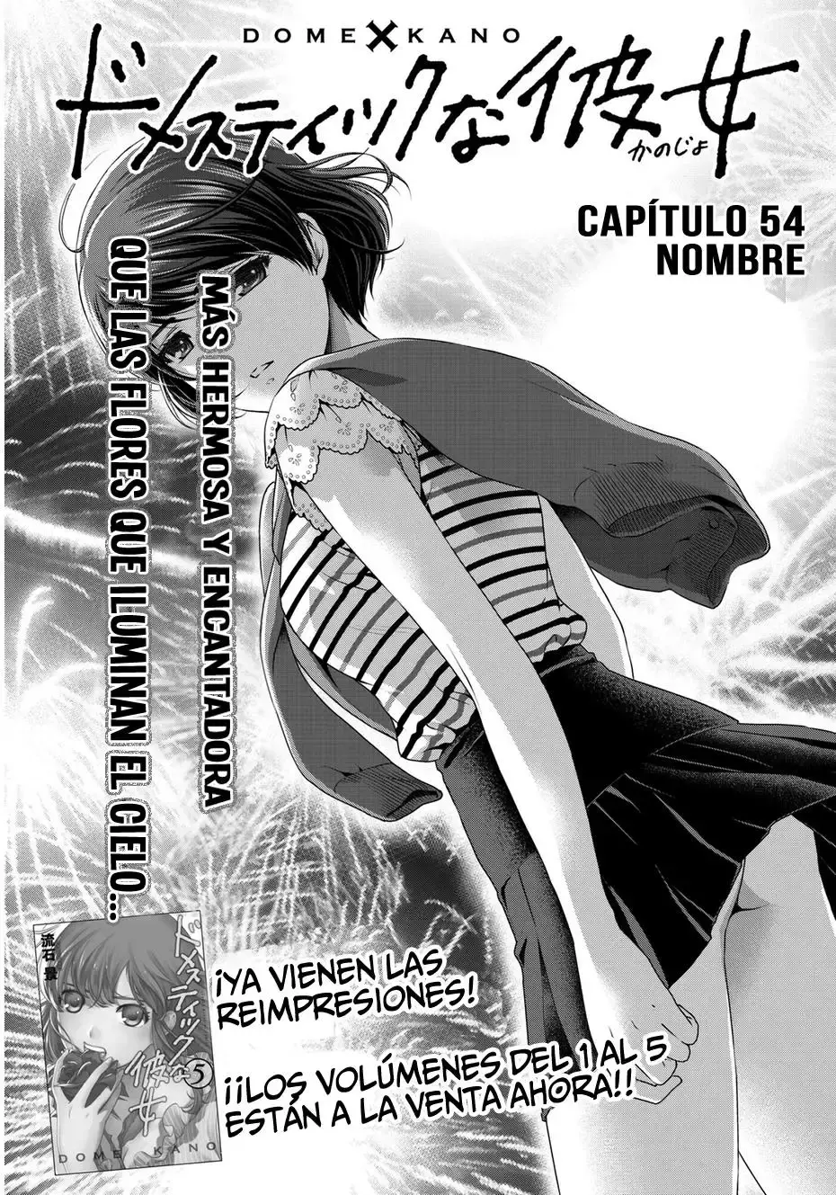 Domestic na Kanojo Capítulo 54 - Page 2
