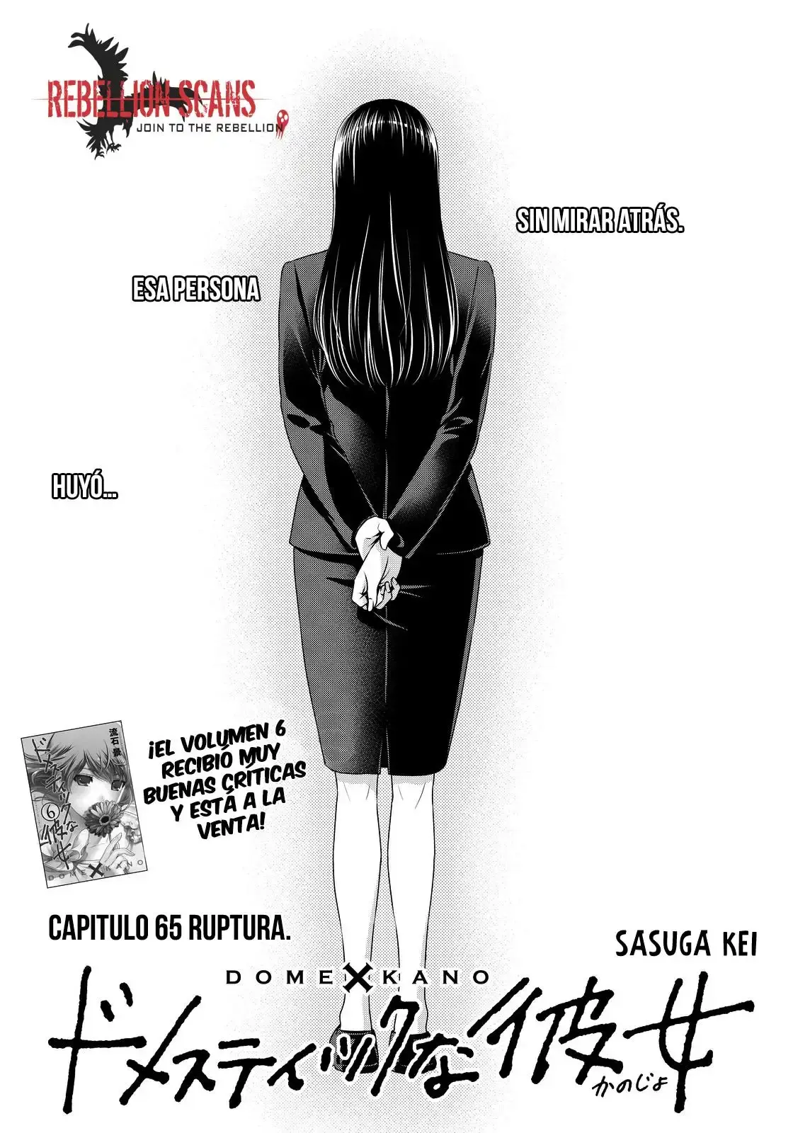 Domestic na Kanojo Capítulo 65 - Page 2