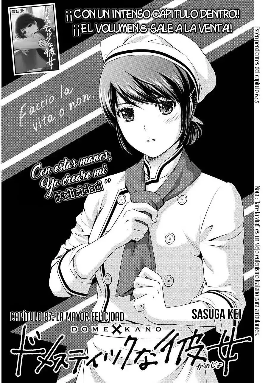 Domestic na Kanojo Capítulo 87 - Page 2