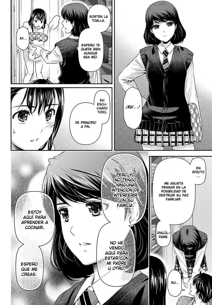 Domestic na Kanojo Capítulo 88 - Page 17