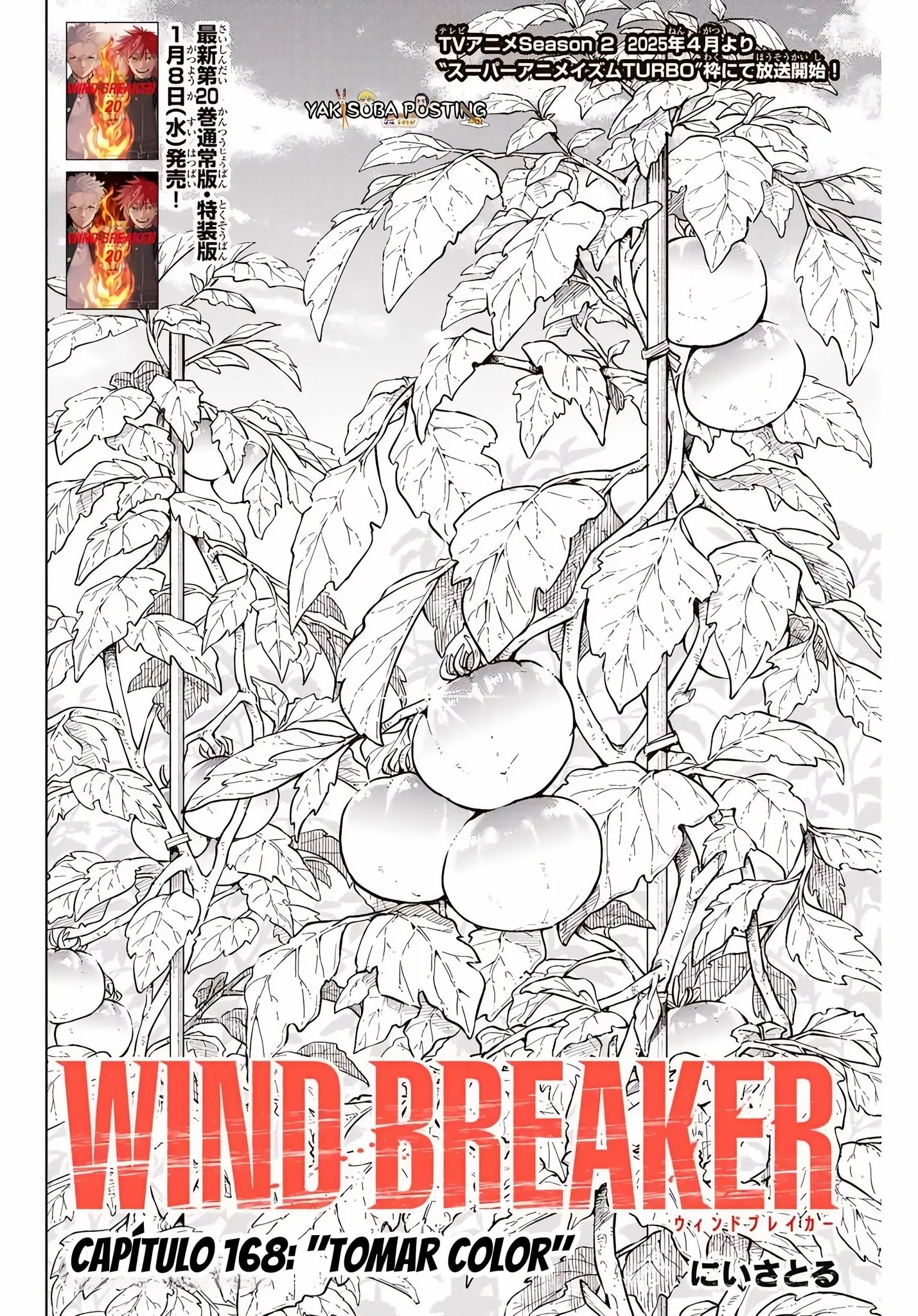 WIND BREAKER Capítulo 168 - Page 2