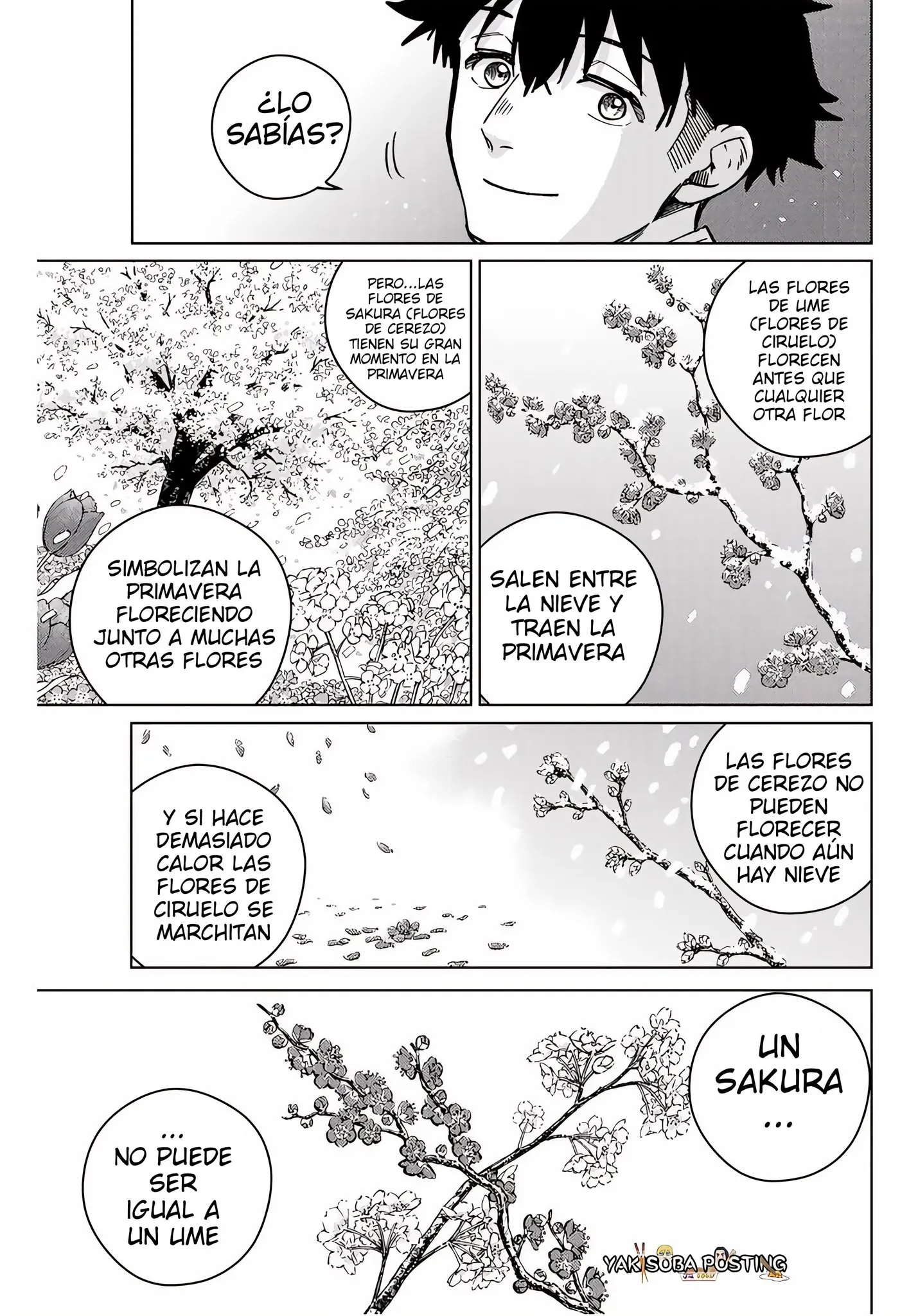 WIND BREAKER Capítulo 181 - Page 13