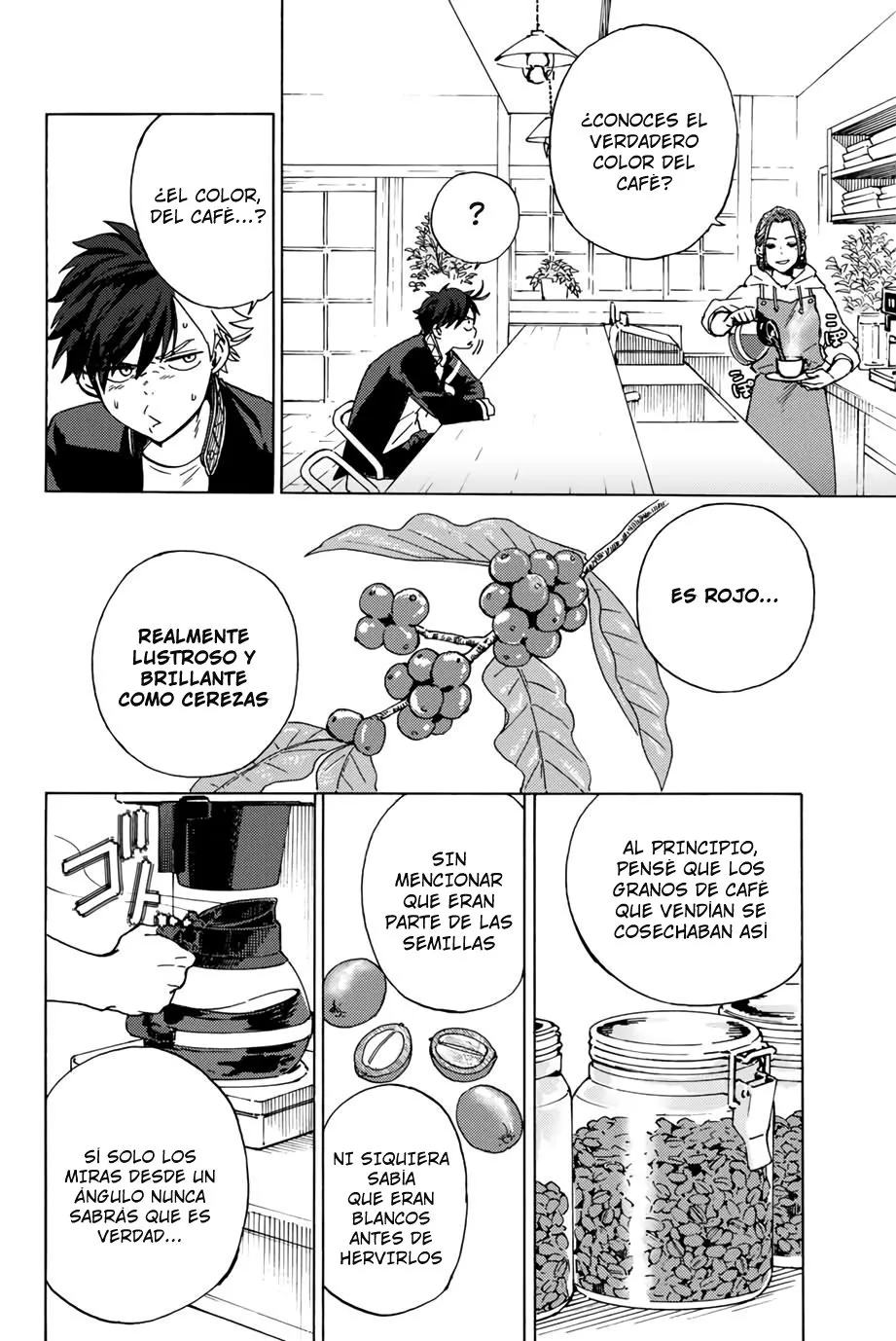 WIND BREAKER Capítulo 2 - Page 17