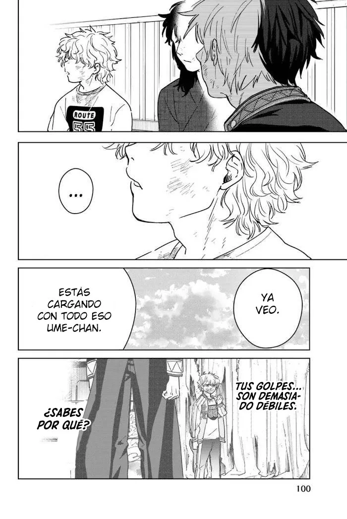 WIND BREAKER Capítulo 28 - Page 17