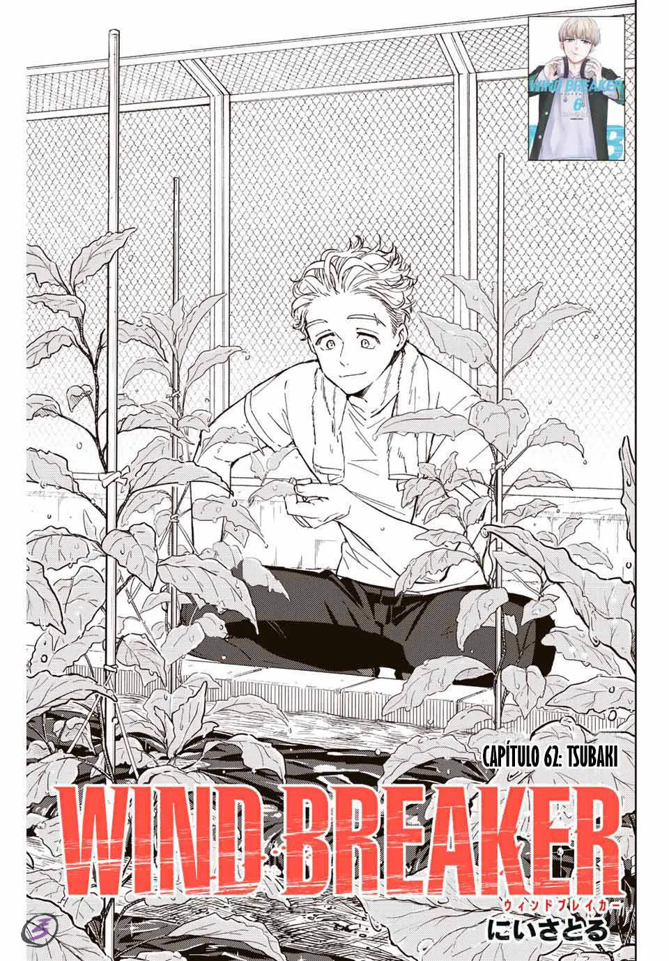 WIND BREAKER Capítulo 62 - Page 3
