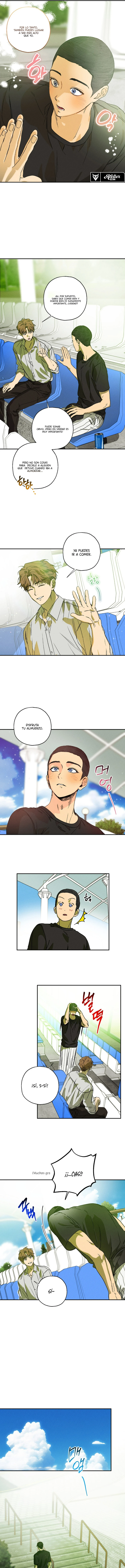 Amor agridulce Capítulo 7 - Page 8