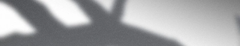 Me confesé y terminé siendo devorada. Capítulo 4 - Page 66